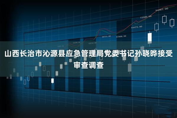山西长治市沁源县应急管理局党委书记孙晓晔接受审查调查