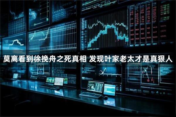 莫离看到徐挽舟之死真相 发现叶家老太才是真狠人