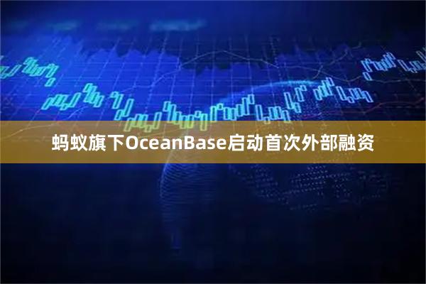 蚂蚁旗下OceanBase启动首次外部融资